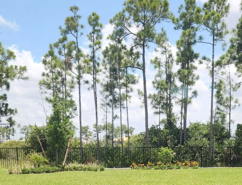 Designing Your Dream Lakefront Home in Palm Beach Gardens