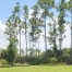 Avenir backyard wetland
